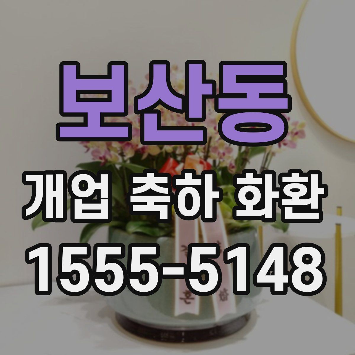 보산동 개업 축하 화환 창업 축하에 어울리는 구성