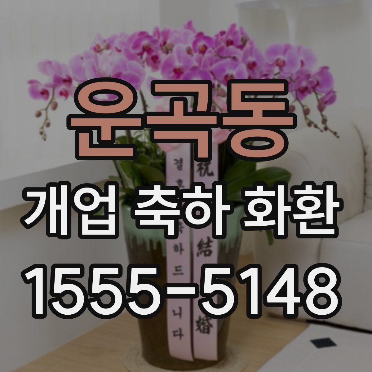 운곡동 개업 축하 화환