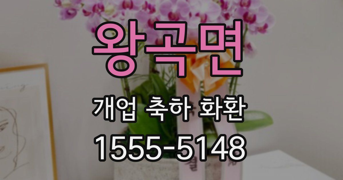 왕곡면 개업 축하 화환