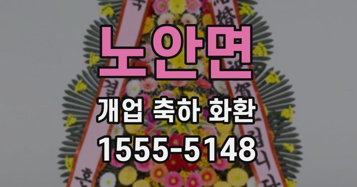 노안면 개업 축하 화환