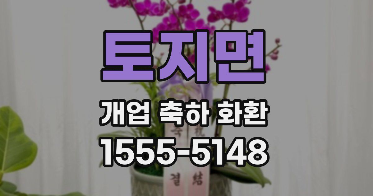 토지면 개업 축하 화환