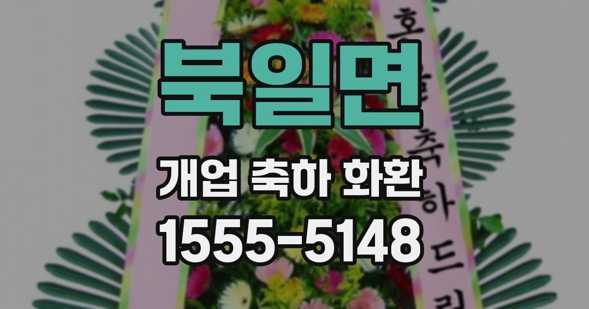 북일면 개업 축하 화환