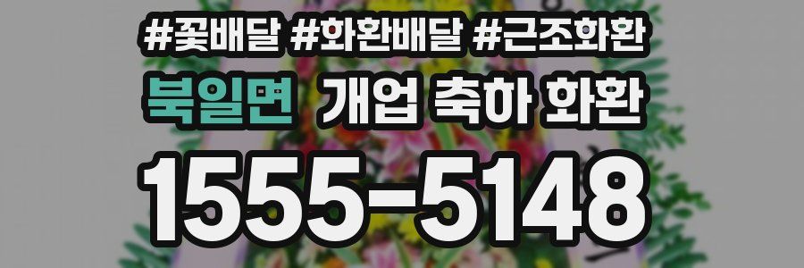 북일면 개업 축하 화환