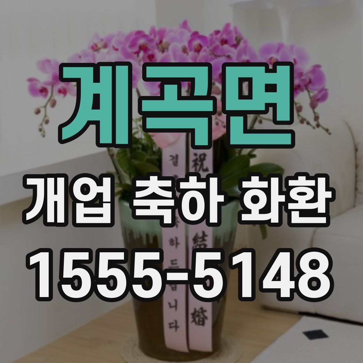 계곡면 개업 축하 화환