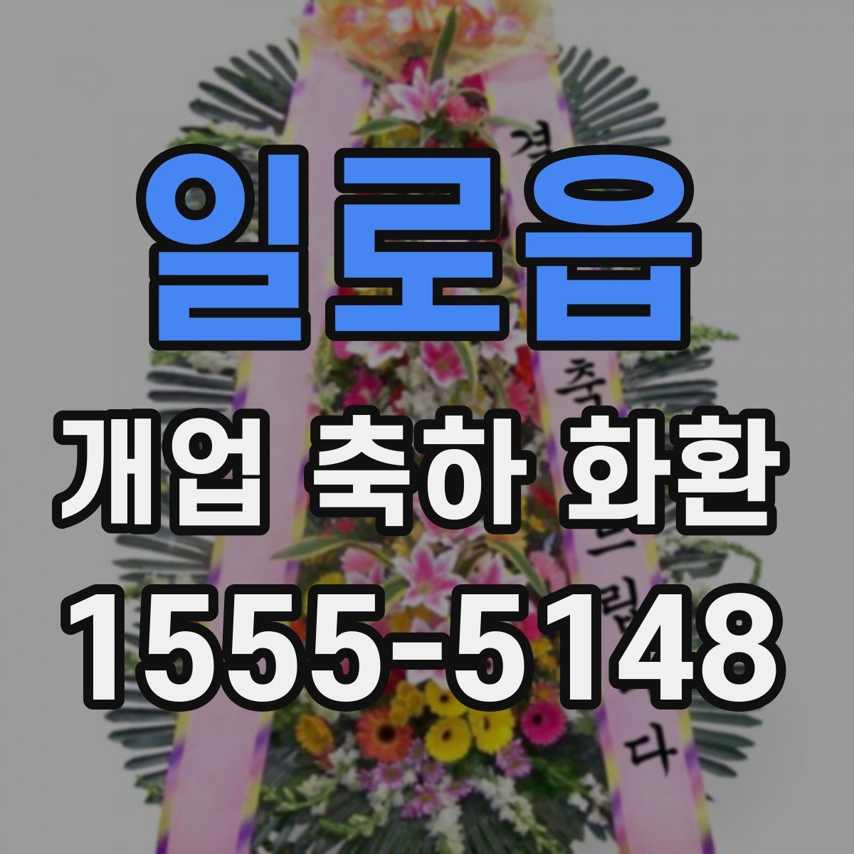 일로읍 개업 축하 화환