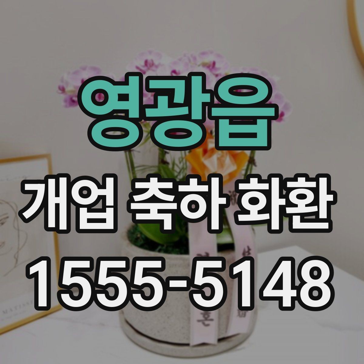 영광읍 개업 축하 화환 매장 인테리어와 어울리는 색감
