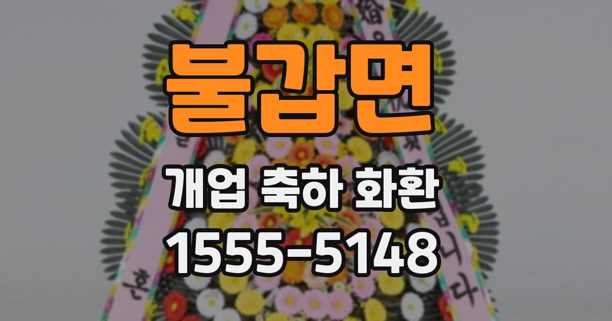 불갑면 개업 축하 화환