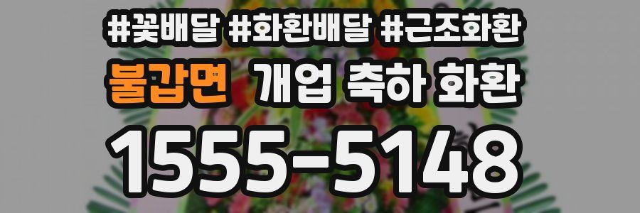 불갑면 개업 축하 화환