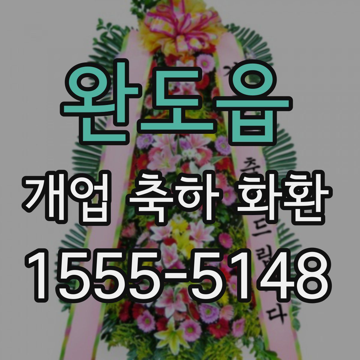 완도읍 개업 축하 화환