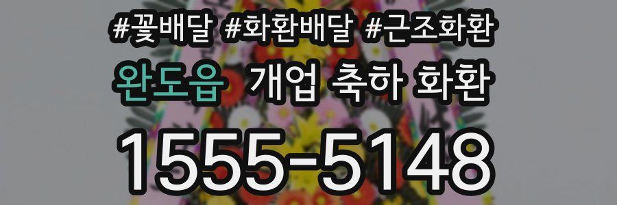 완도읍 개업 축하 화환
