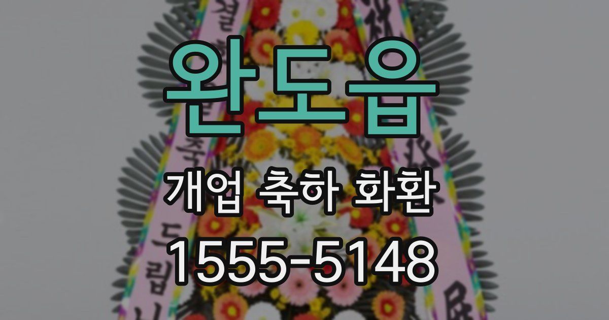 완도읍 개업 축하 화환