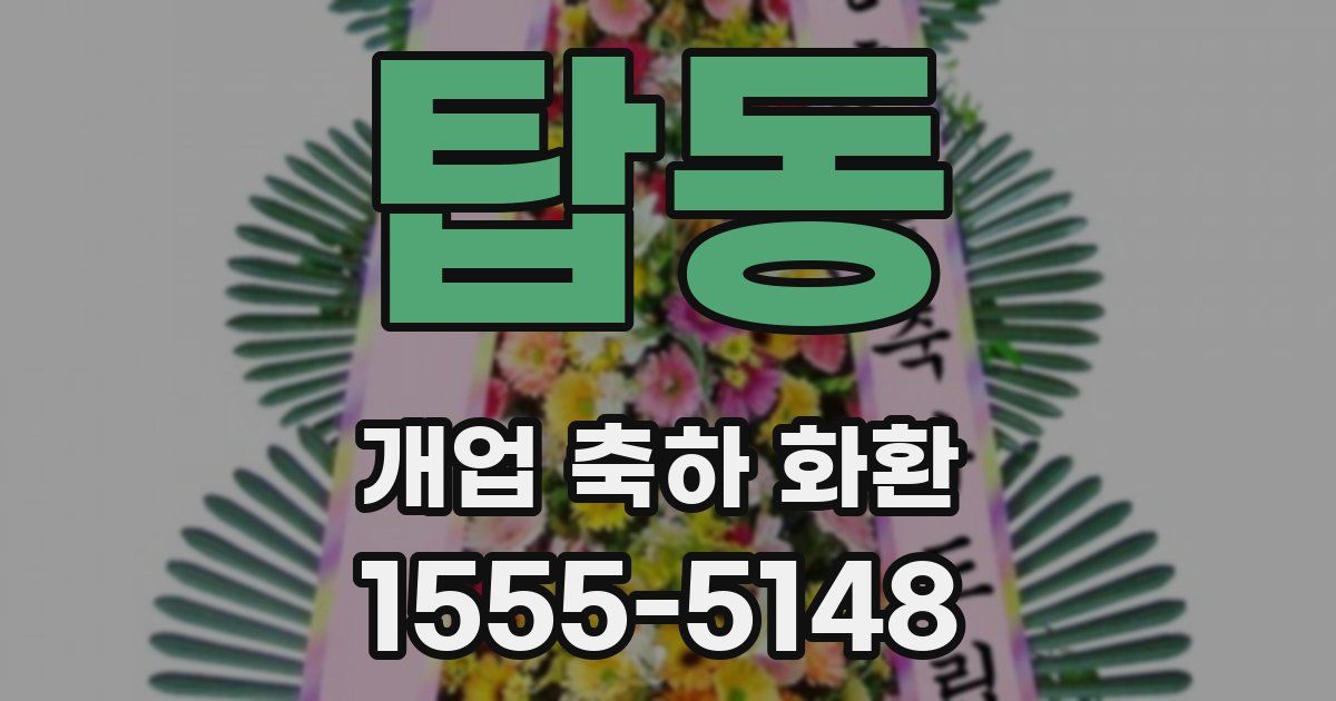 탑동 개업 축하 화환