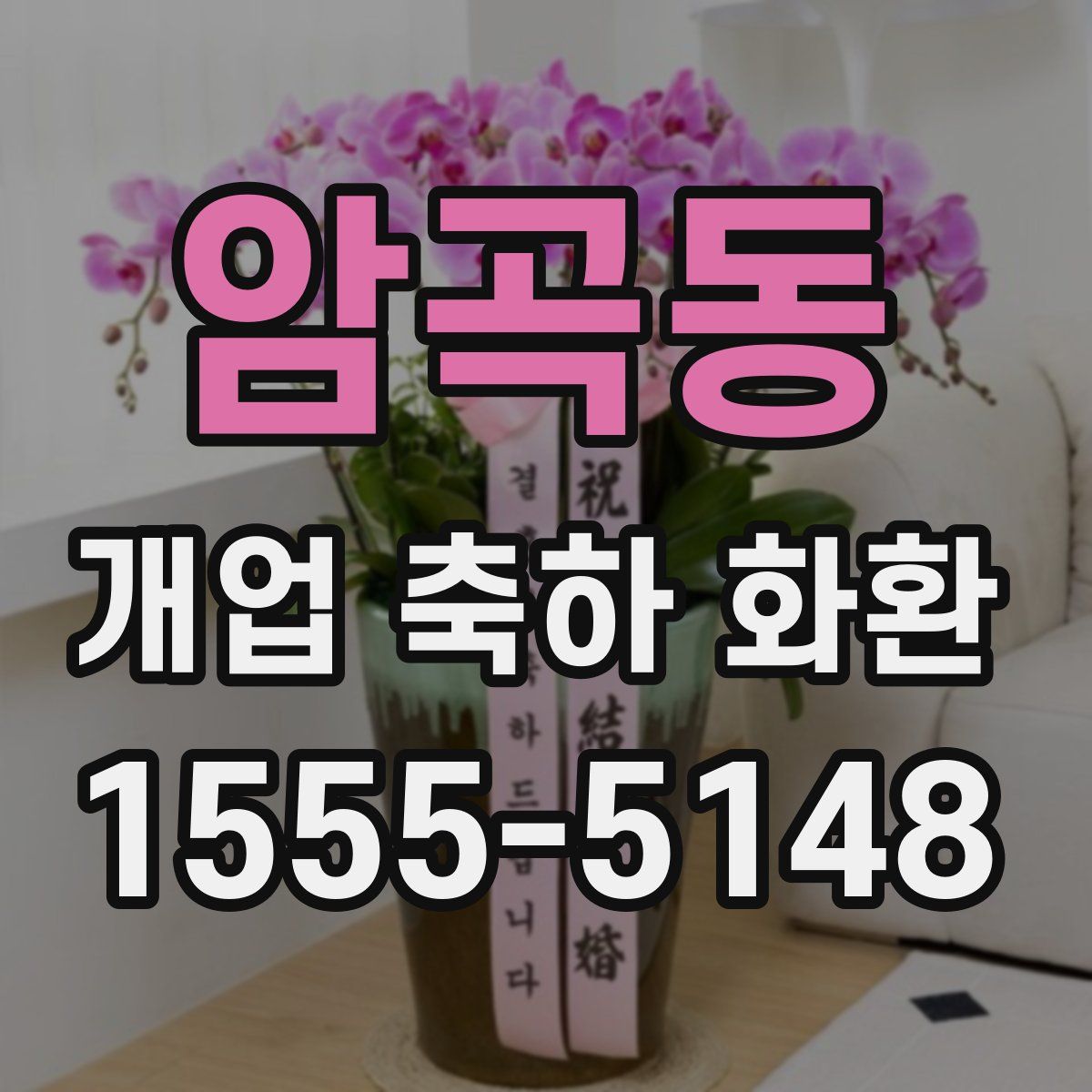 암곡동 개업 축하 화환