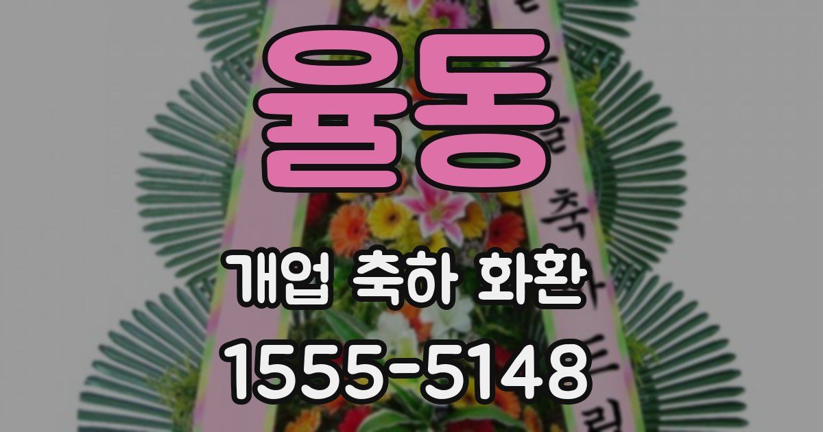 율동 개업 축하 화환