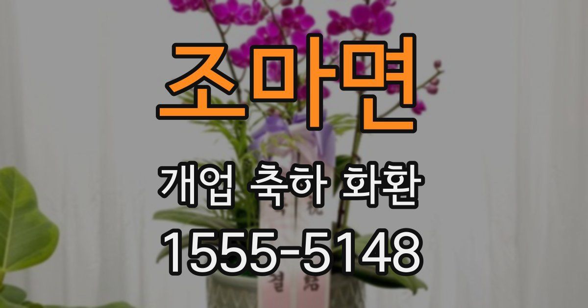 조마면 개업 축하 화환
