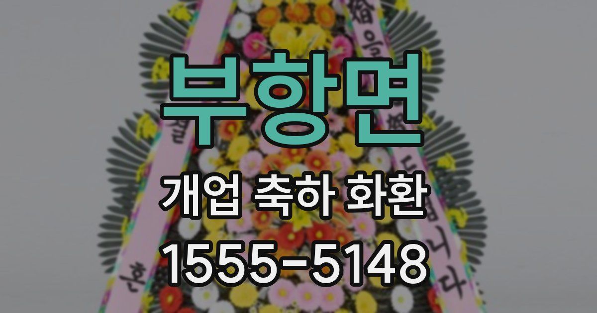 부항면 개업 축하 화환