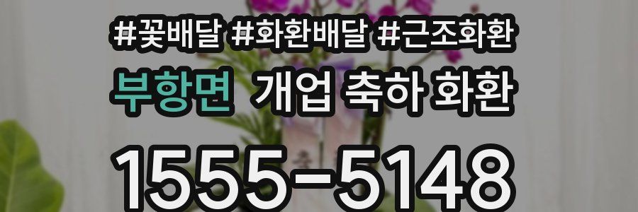 부항면 개업 축하 화환