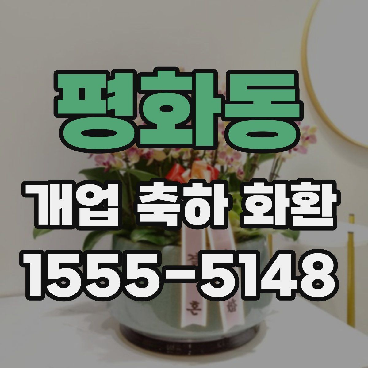평화동 개업 축하 화환 예산을 아낄 때 확인할 점