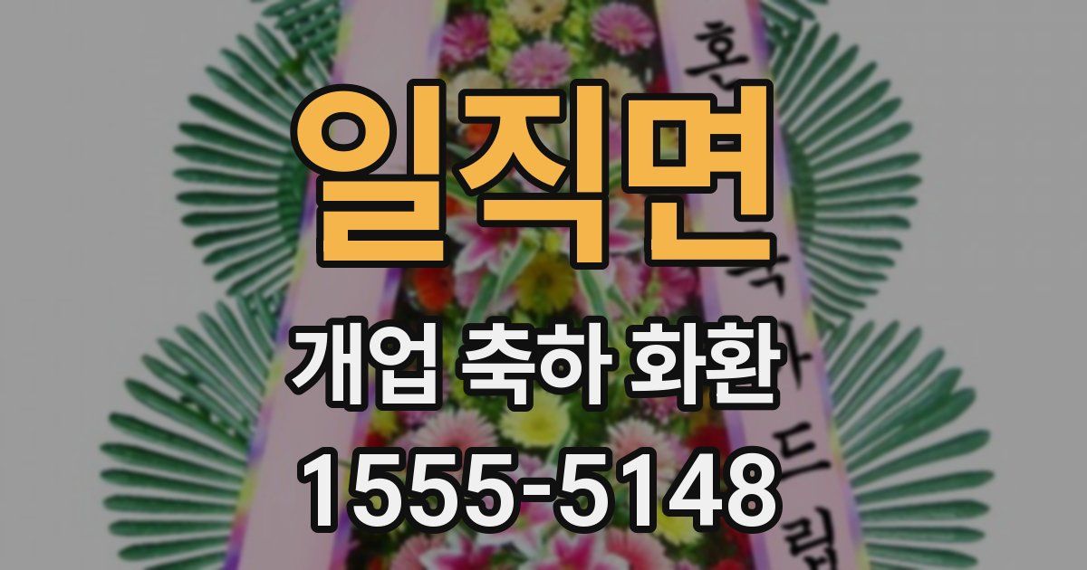일직면 개업 축하 화환