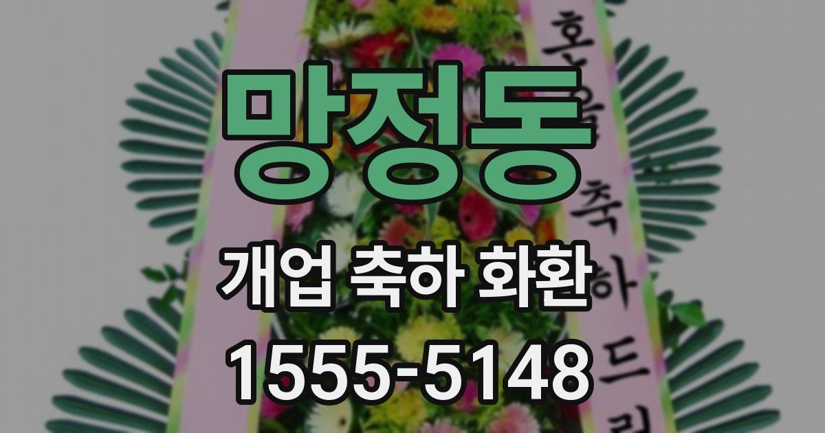 망정동 개업 축하 화환
