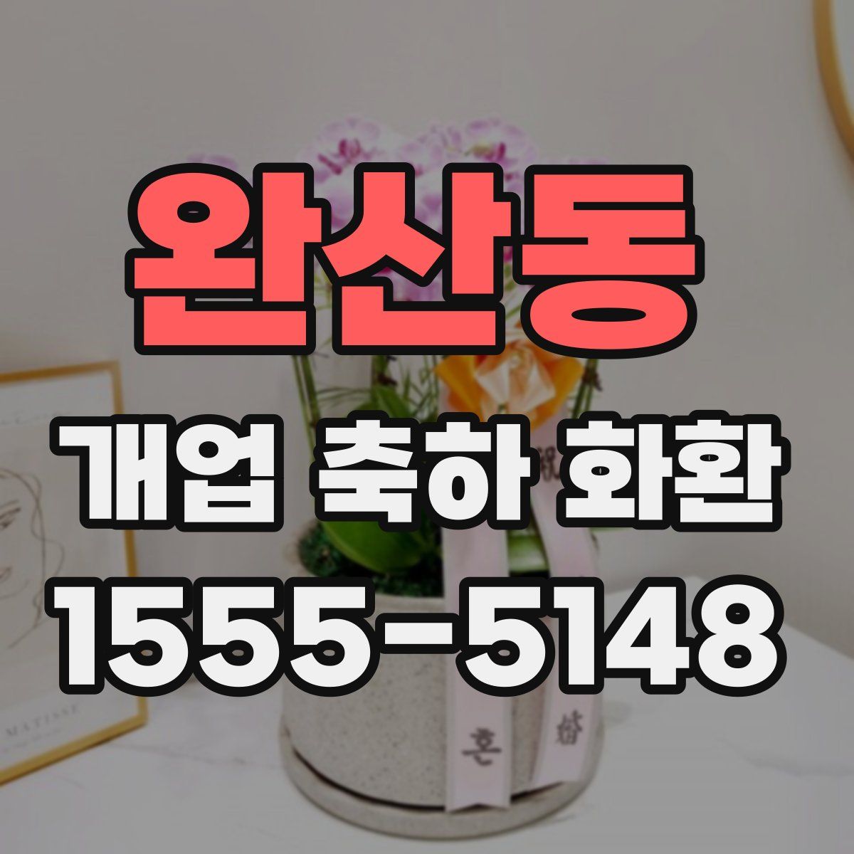 완산동 개업 축하 화환