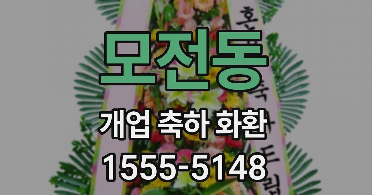 모전동 개업 축하 화환