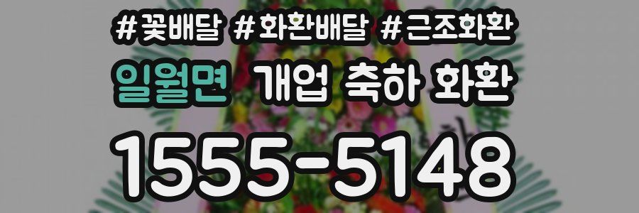 일월면 개업 축하 화환