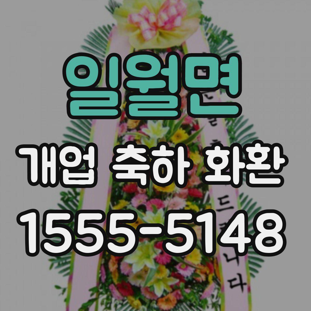 일월면 개업 축하 화환