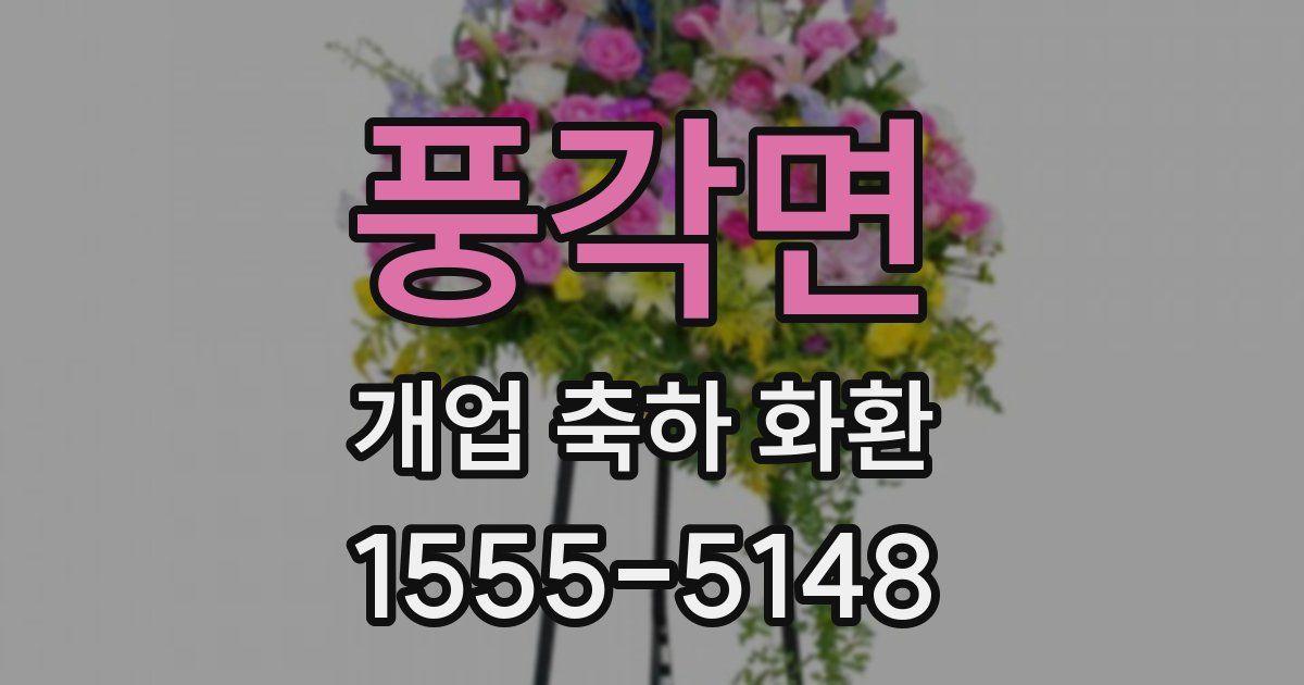 풍각면 개업 축하 화환