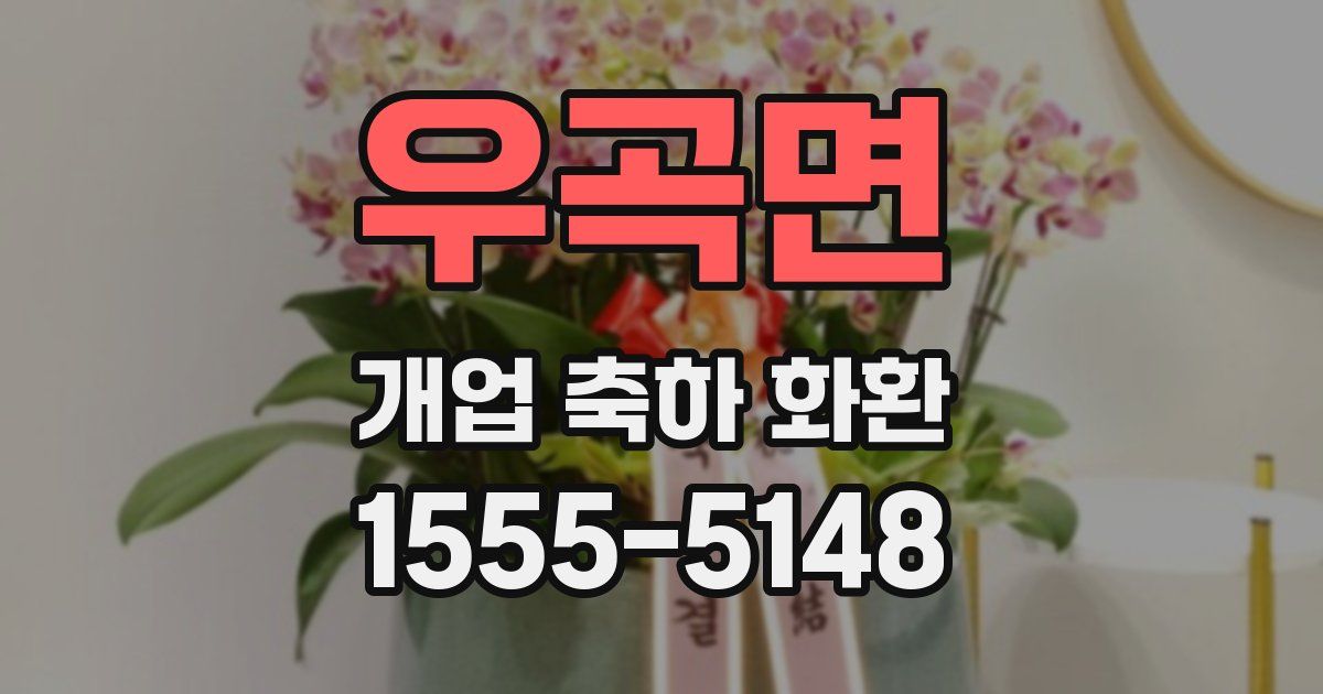 우곡면 개업 축하 화환