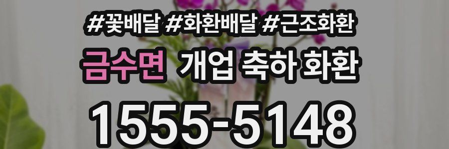 금수면 개업 축하 화환