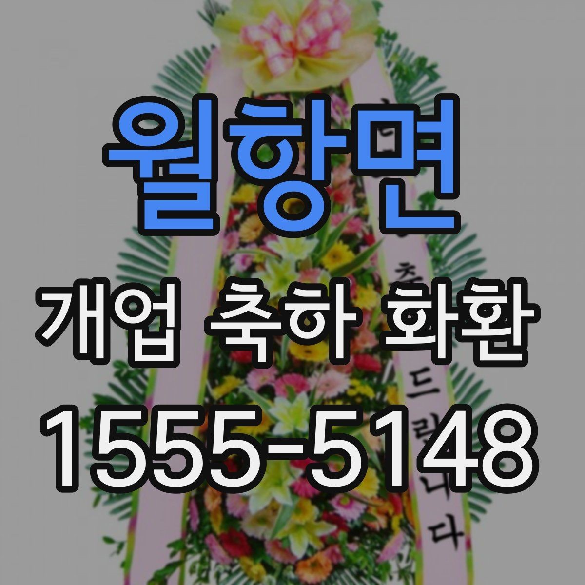 월항면 개업 축하 화환 첫 오픈에 잘 어울리는 구성