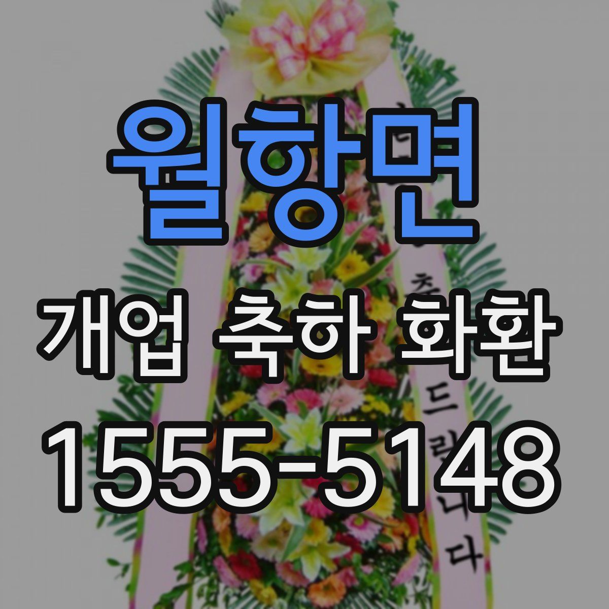 월항면 개업 축하 화환