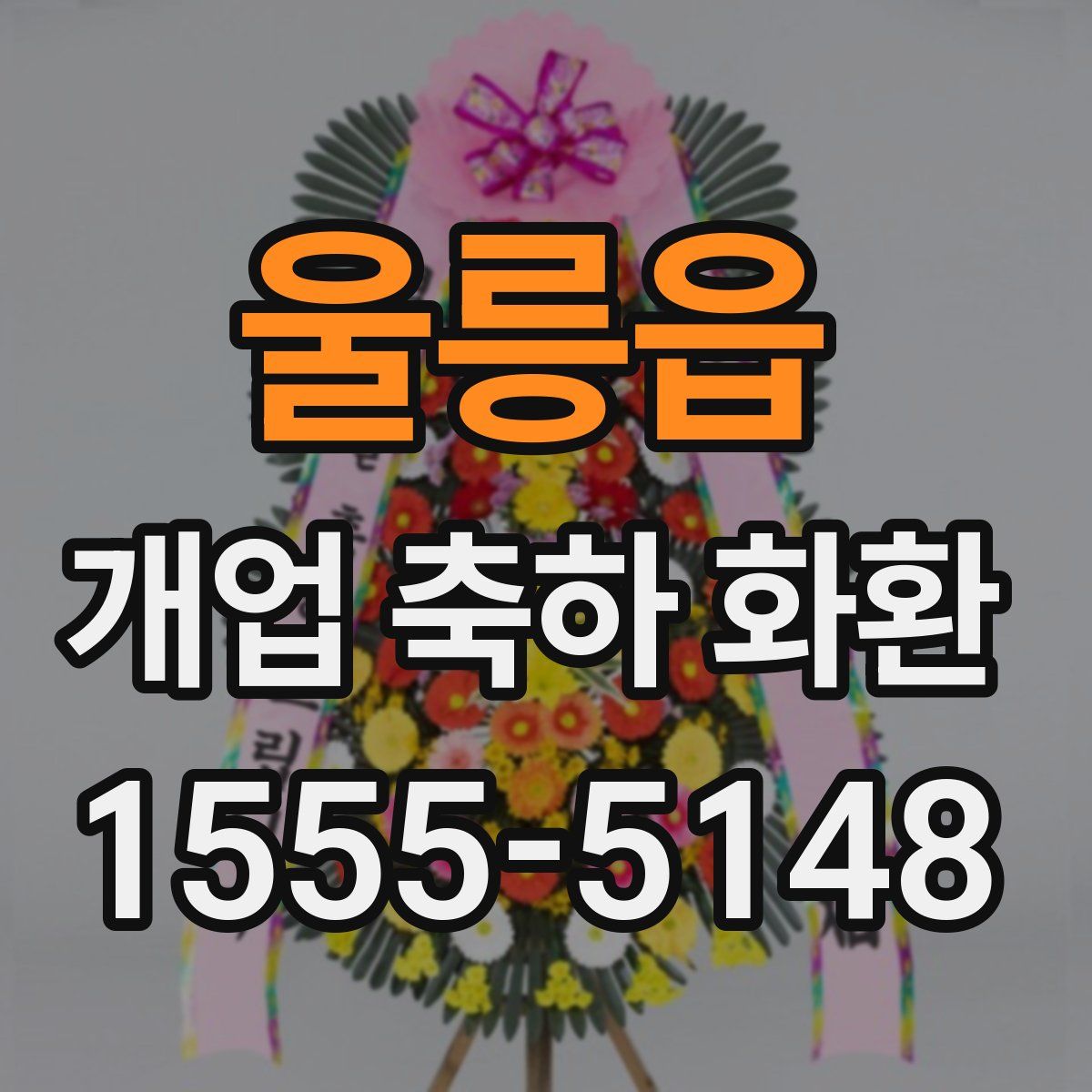 울릉읍 개업 축하 화환