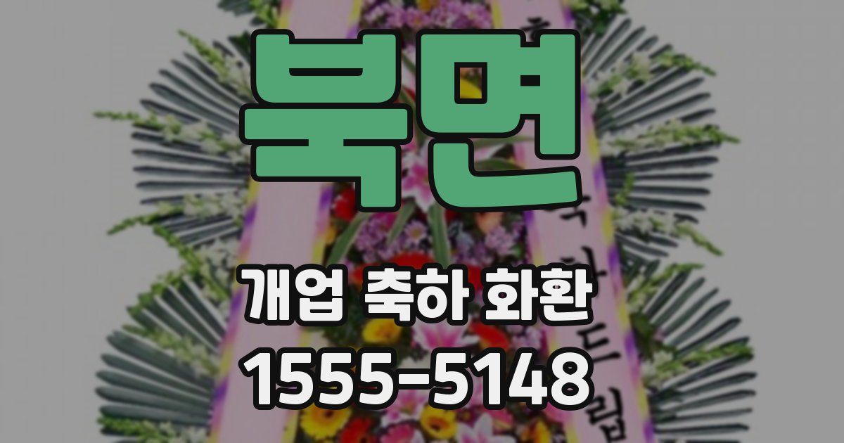 북면 개업 축하 화환