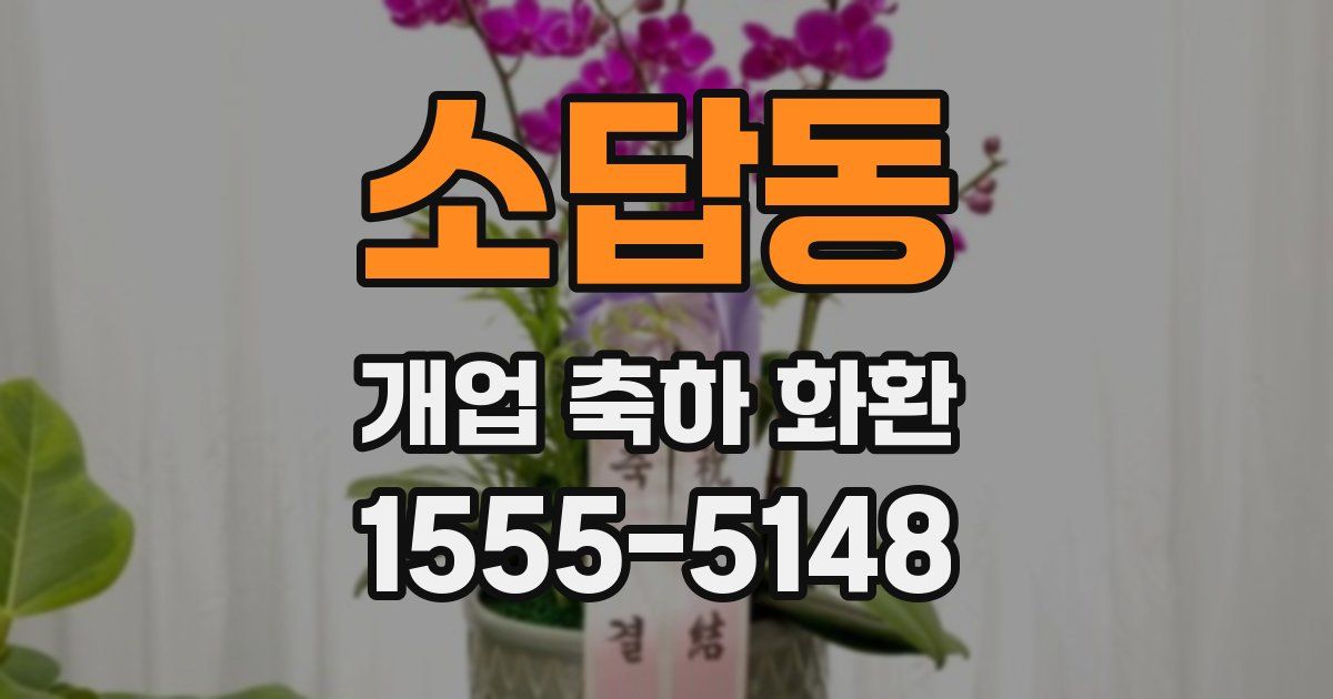 소답동 개업 축하 화환