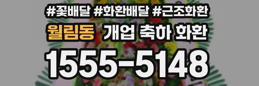 월림동 개업 축하 화환