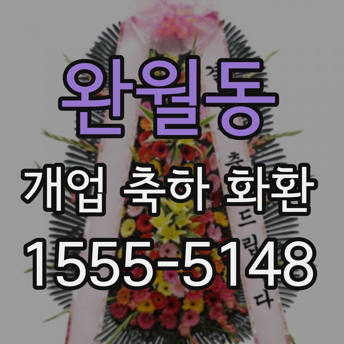 완월동 개업 축하 화환