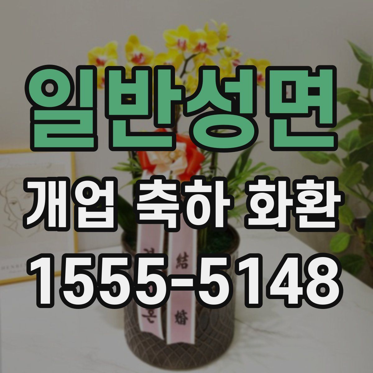 일반성면 개업 축하 화환