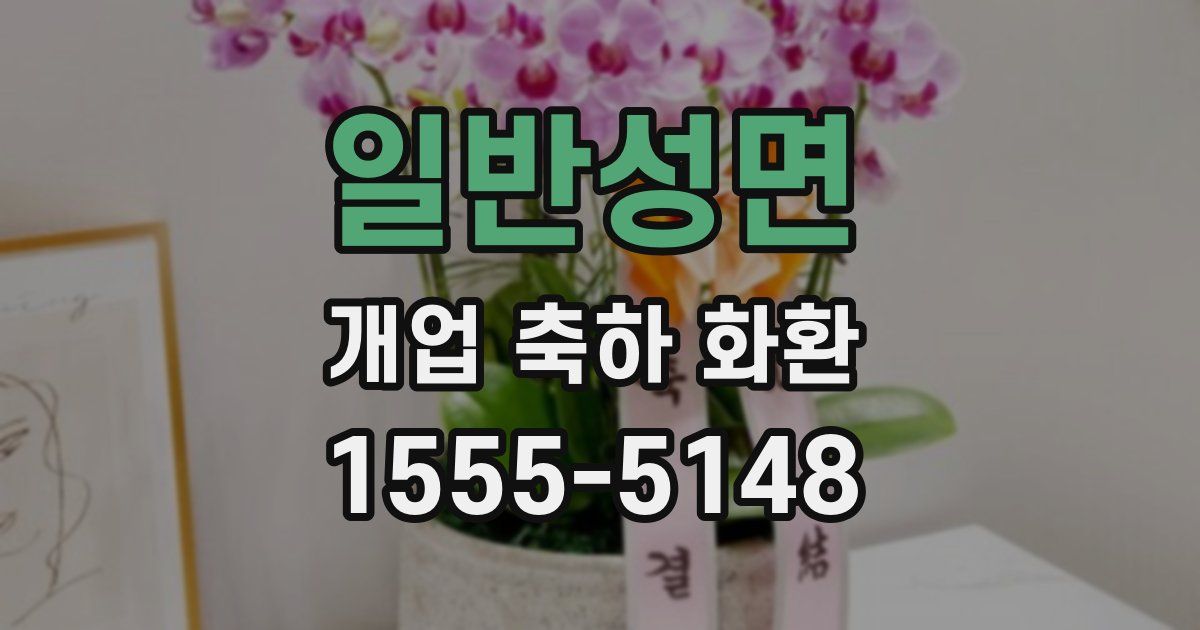 일반성면 개업 축하 화환