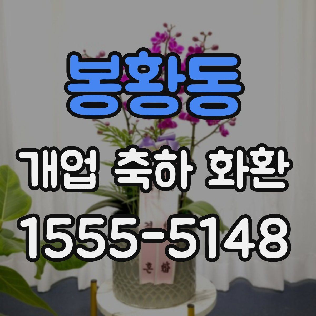 봉황동 개업 축하 화환 주문 전 전화 확인 항목