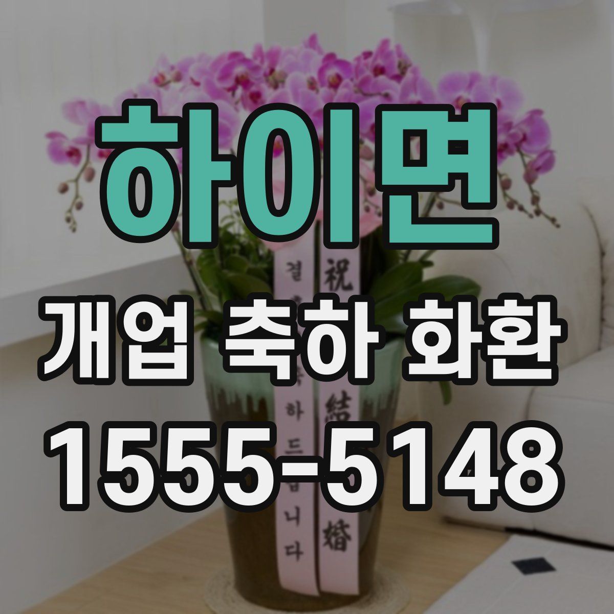 하이면 개업 축하 화환