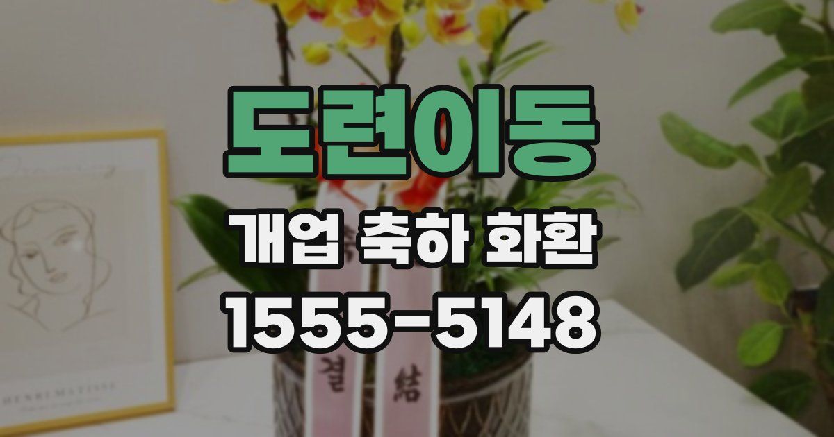 도련이동 개업 축하 화환