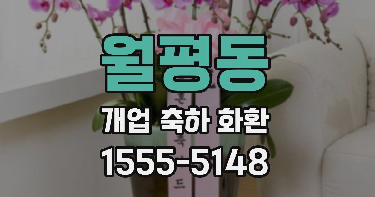 월평동 개업 축하 화환