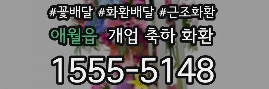 애월읍 개업 축하 화환