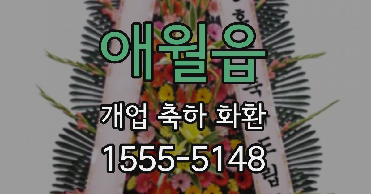 애월읍 개업 축하 화환