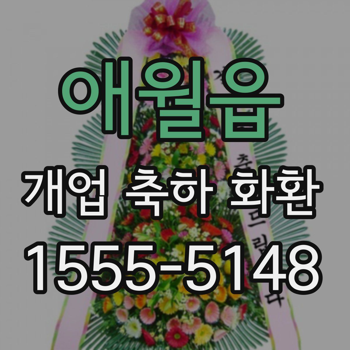 애월읍 개업 축하 화환
