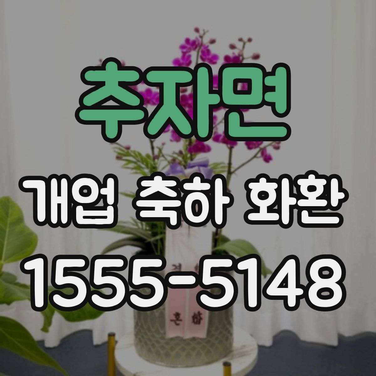 추자면 개업 축하 화환