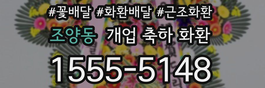 조양동 개업 축하 화환