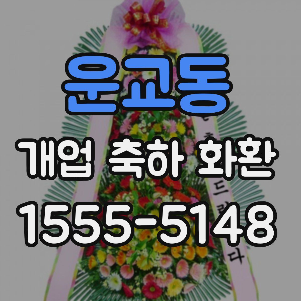 운교동 개업 축하 화환